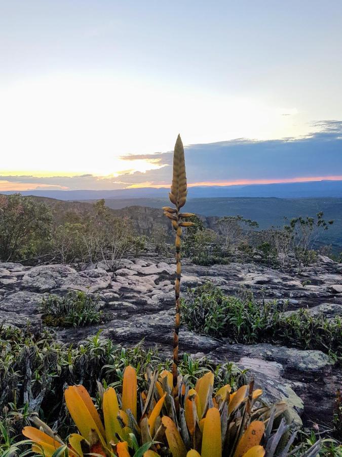 Pitaya Rosa Pousada Lencois Kültér fotó